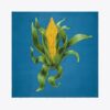 Corn Oversized Silk Square Scarf Corn Oversized Silk Square Scarf