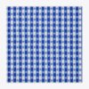 Gingham Dinner Napkin, Set Of 4