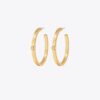 Icon Hoop Earrings
