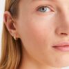Icon Huggie Earrings