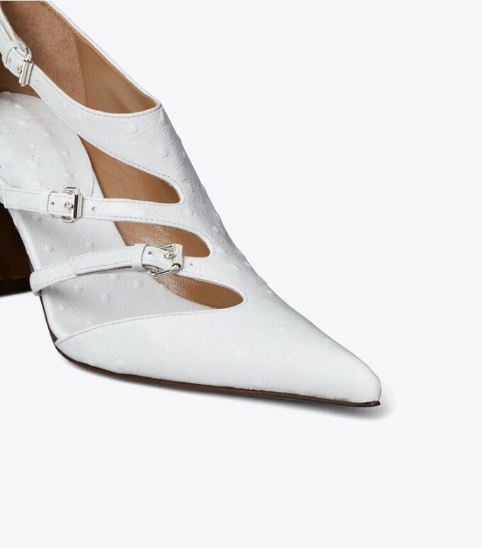 Multi-Buckle Pump Multi-Buckle Pump