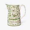 Oiseau Pitcher Oiseau Pitcher