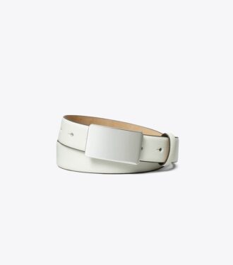 Plate Belt Plate Belt