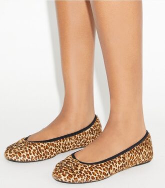 Reva Travel Ballet