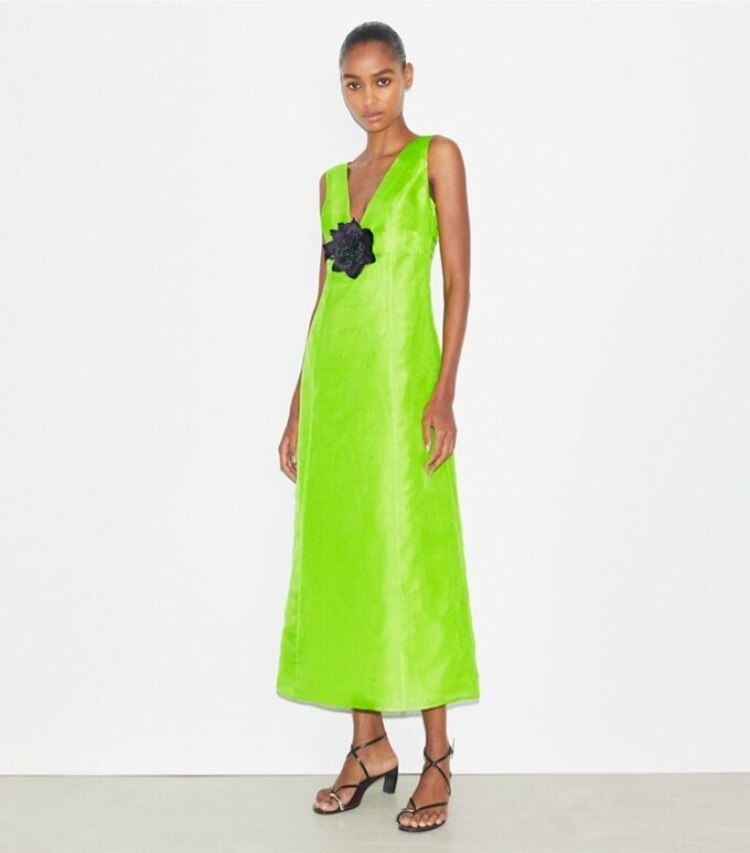 Silk Organza Dress Silk Organza Dress