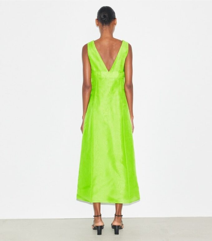 Silk Organza Dress Silk Organza Dress