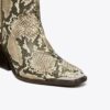 Western Boot